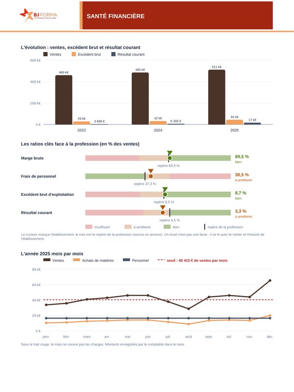 Graphiques : ventes, excédent brut et résultat courant sur trois ans ; quatre ratios clés face au repère de la profession ; ventes, achats et personnel mois par mois face au seuil